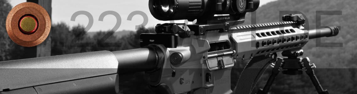 .223 Wylde Modern Sporting Rifles