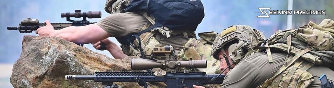 Seekins SP10 Rifles