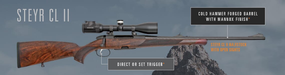 Steyr Classic II