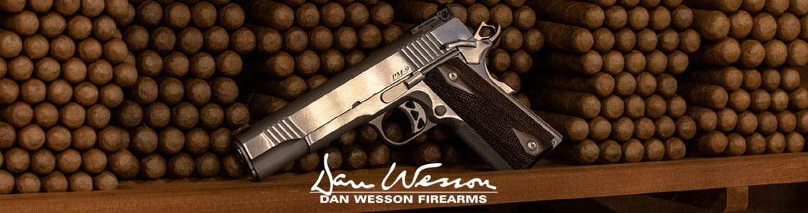 View All Dan Wesson Pistols