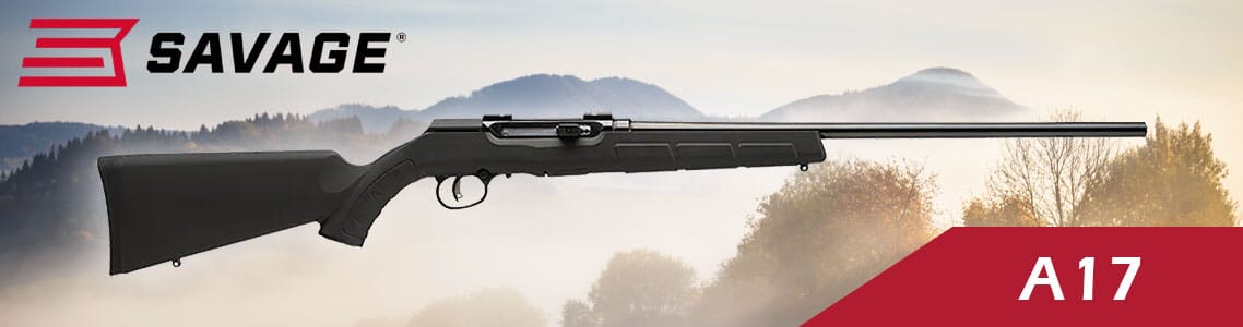 Savage Arms A17
