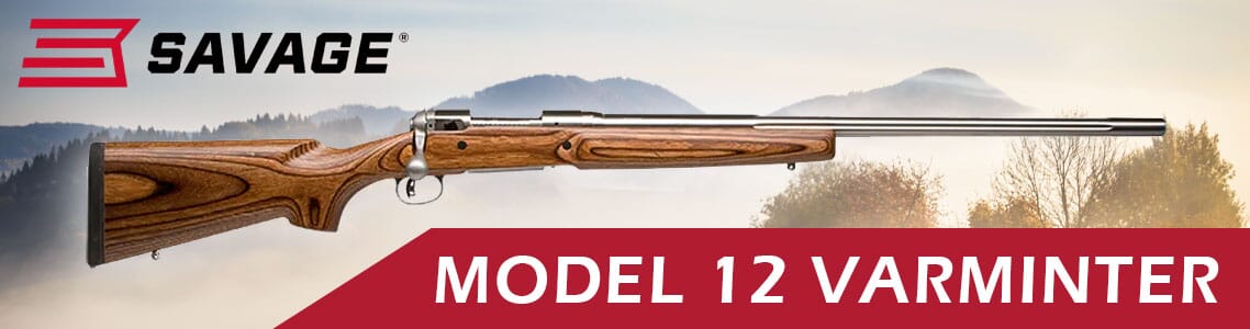 Model 12 Varminter