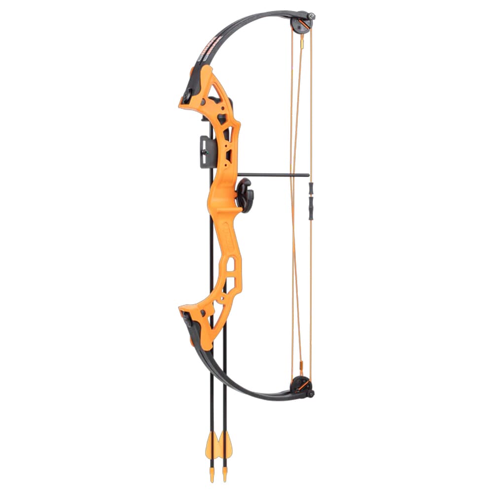 Bear Brave RH Orange Bow AYS300TR
