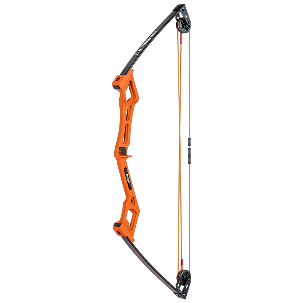 Bear Apprentice RH Orange Bow AYS6001TR