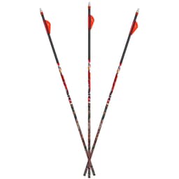 Carbon Express D-Stroyer MX Hunter .400 Arrows 6pk 51147