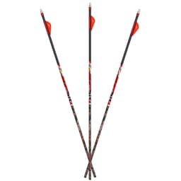 Carbon Express D-Stroyer MX Hunter .350 Arrows 6pk 51148