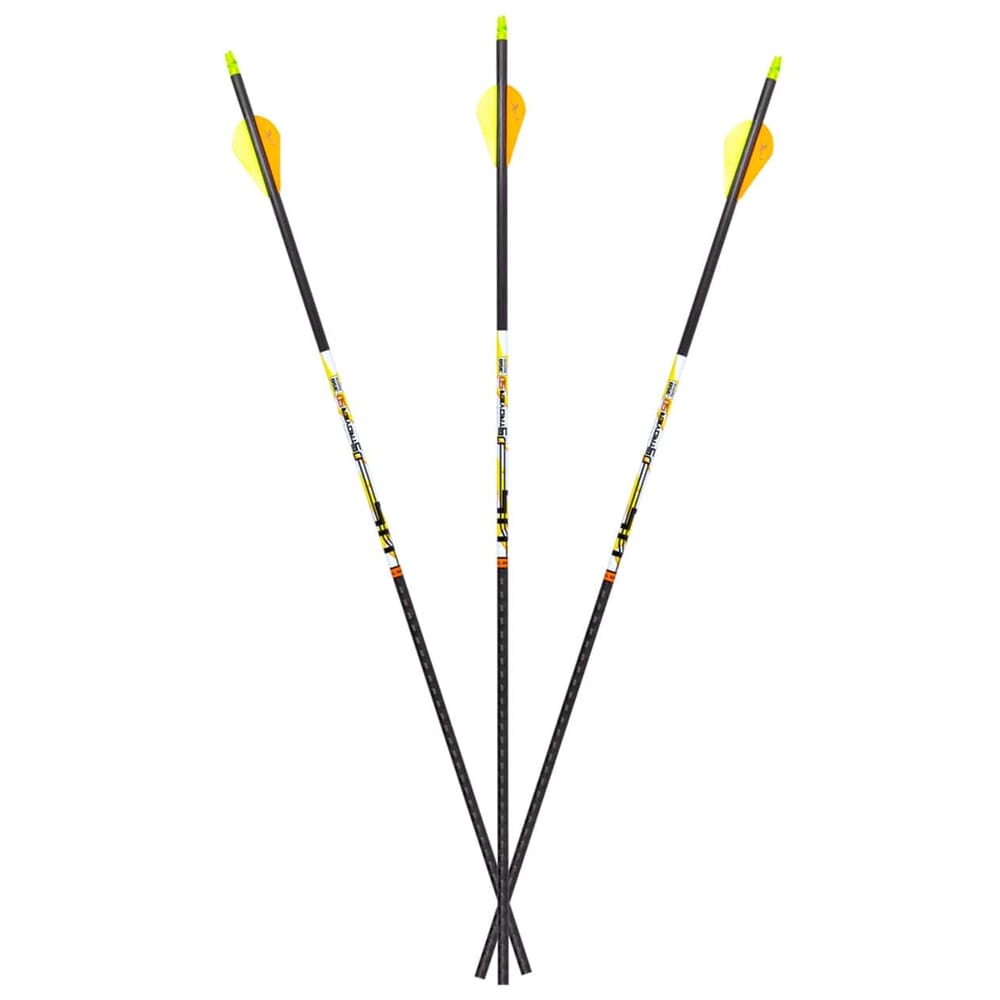 Carbon Express D-Stroyer SD .400 Arrows 6pk 51154