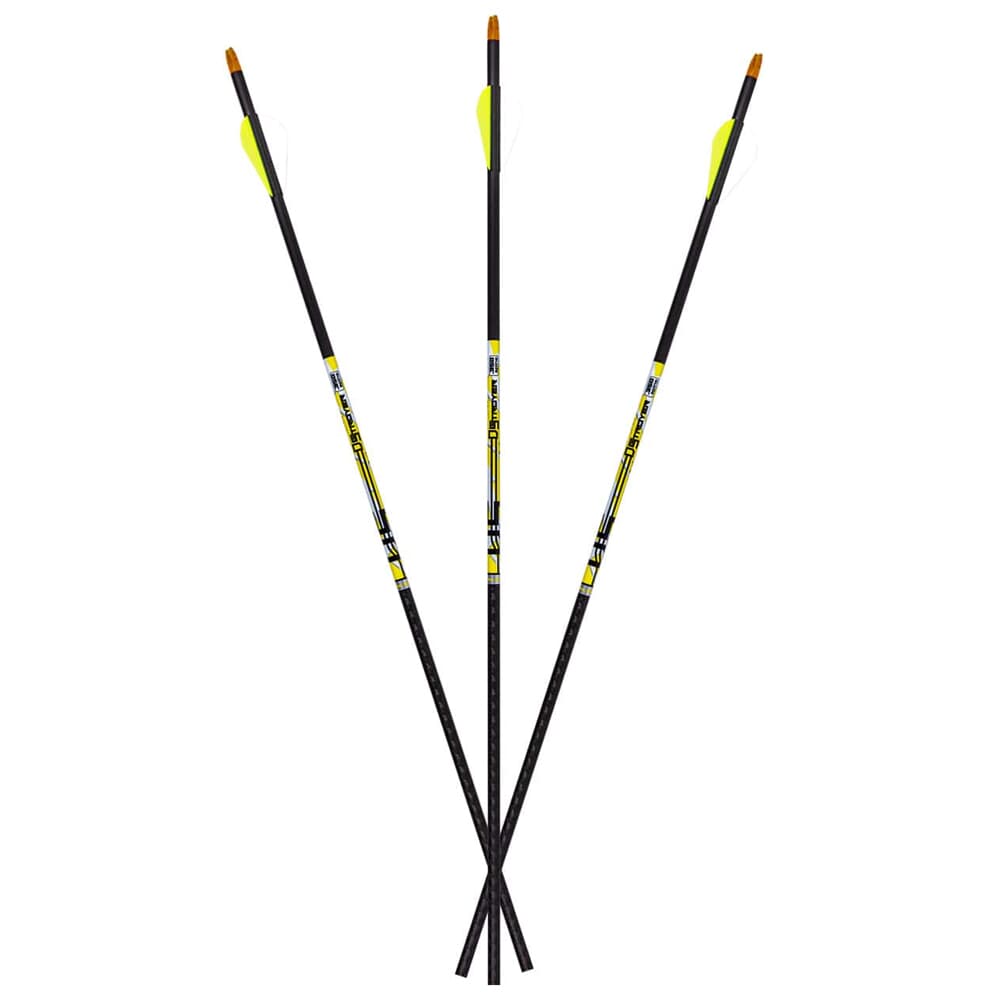 Carbon Express D-Stroyer .400 Arrows 6pk 51162