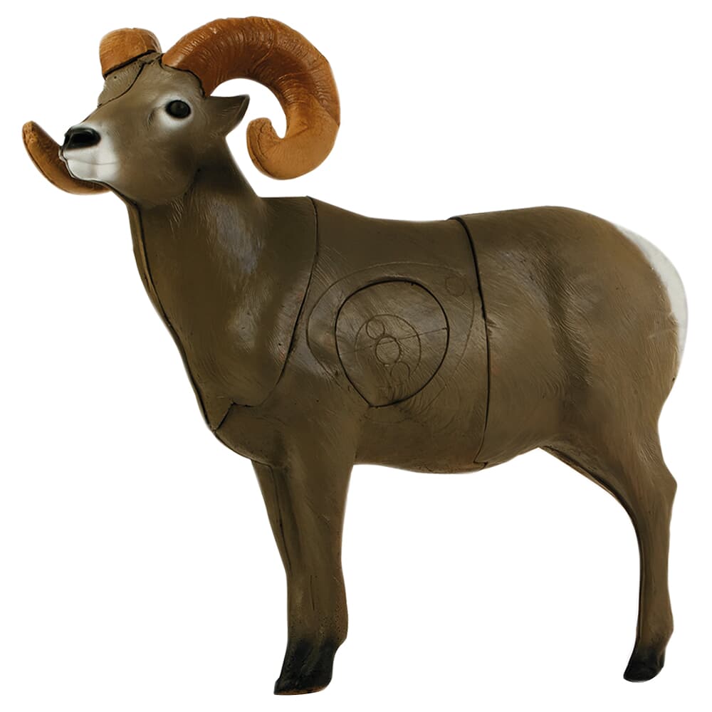 Delta McKenzie Pro Series Bighorn Sheep Target 21550