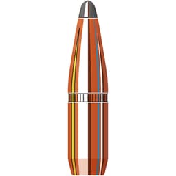 Hornady InterLock BTSP 6mm/.243 Cal 100gr Bullets (100/Box) 2453