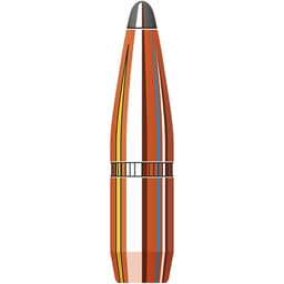 Hornady InterLock BTSP .25/.257 Cal 117gr Bullets (100/Box) 2552