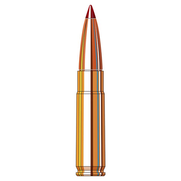 Hornady Custom .300 BLK 110gr Ammunition w/CX Bullets (20/Box) 808794