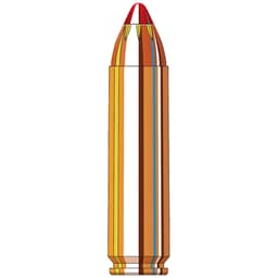 Hornady Black .450 Bushmaster 250gr Ammunition w/FTX Bullets (20/Box) 82246