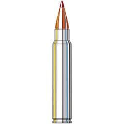 Hornady Outfitter .375 Ruger 250gr Ammunition w/CX Bullets (20/Box) 823374