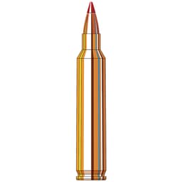 Hornady Superformance Varmint .204 Ruger 32gr Ammunition w/V-MAX Bullets (20/Box) 83204