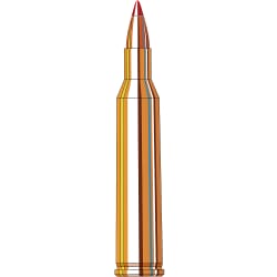 Hornady Varmint Express .220 Swift 55gr Ammunition w/V-MAX Bullets (20/Box) 8324