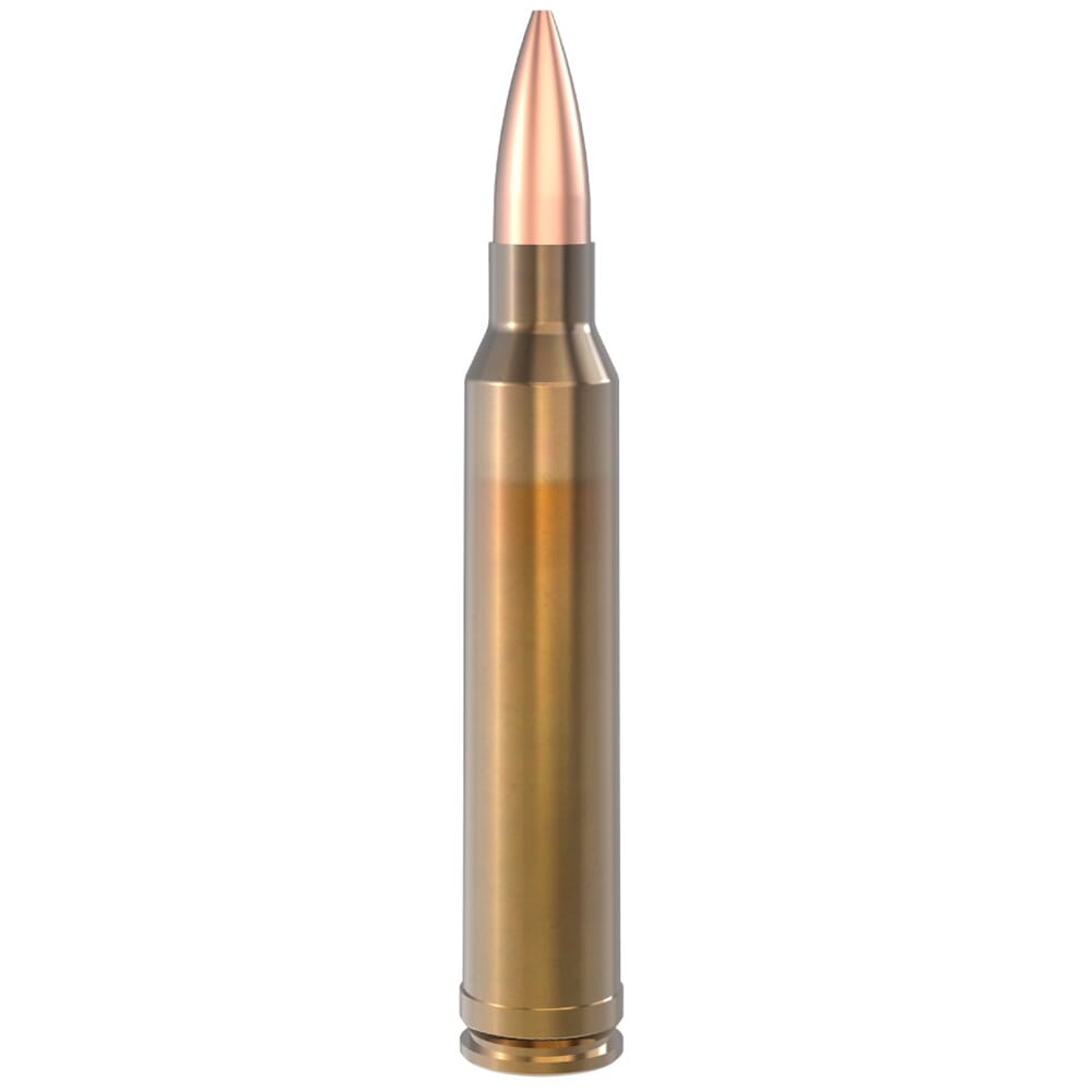 Lapua .300 Winchester Magnum 185gr Scenar OTM Ammo Box of 10 4317308
