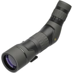 Leupold SX-2 Alpine HD 20-60x60mm Angled Spotting Scope 180143