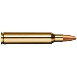 Norma American PH .300 WBY 165gr ORYX Ammo 20174632