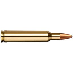 Norma American PH 7MM WBY 156gr ORYX Ammo 20171062