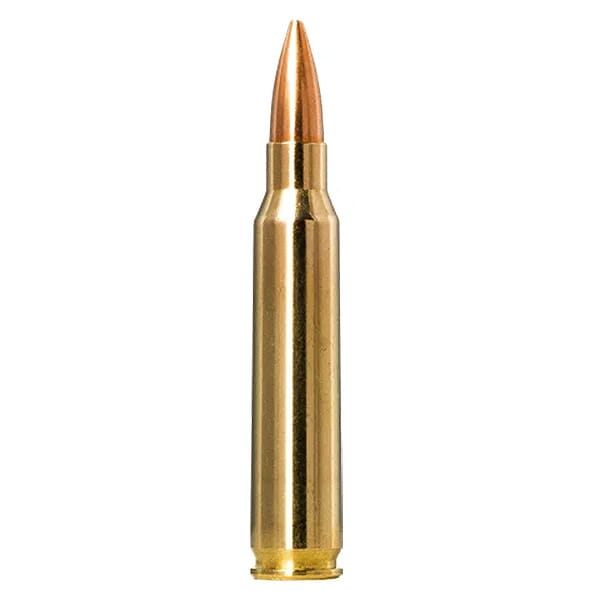 Norma Golden Target .223 Rem 69gr Centerfire Rifle Ammo (20/box) 10157692
