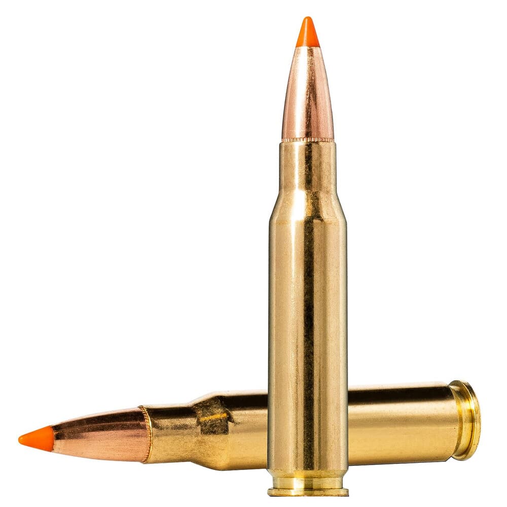 Norma TipStrike .308 Win 170gr Centerfire Rifle Ammo (20/box) 20174352
