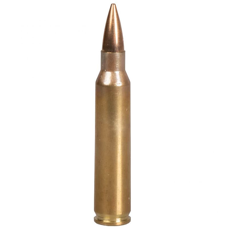 Norma Tactical .223 Remington FMJ 55gr Centerfire Rifle Ammo (20/box) 295040020