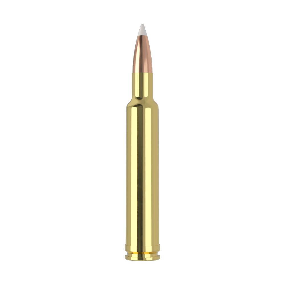 Nosler Trophy Grade TGA-300 Wby Mag 180g AB SP (20ct) Ammunition 48643