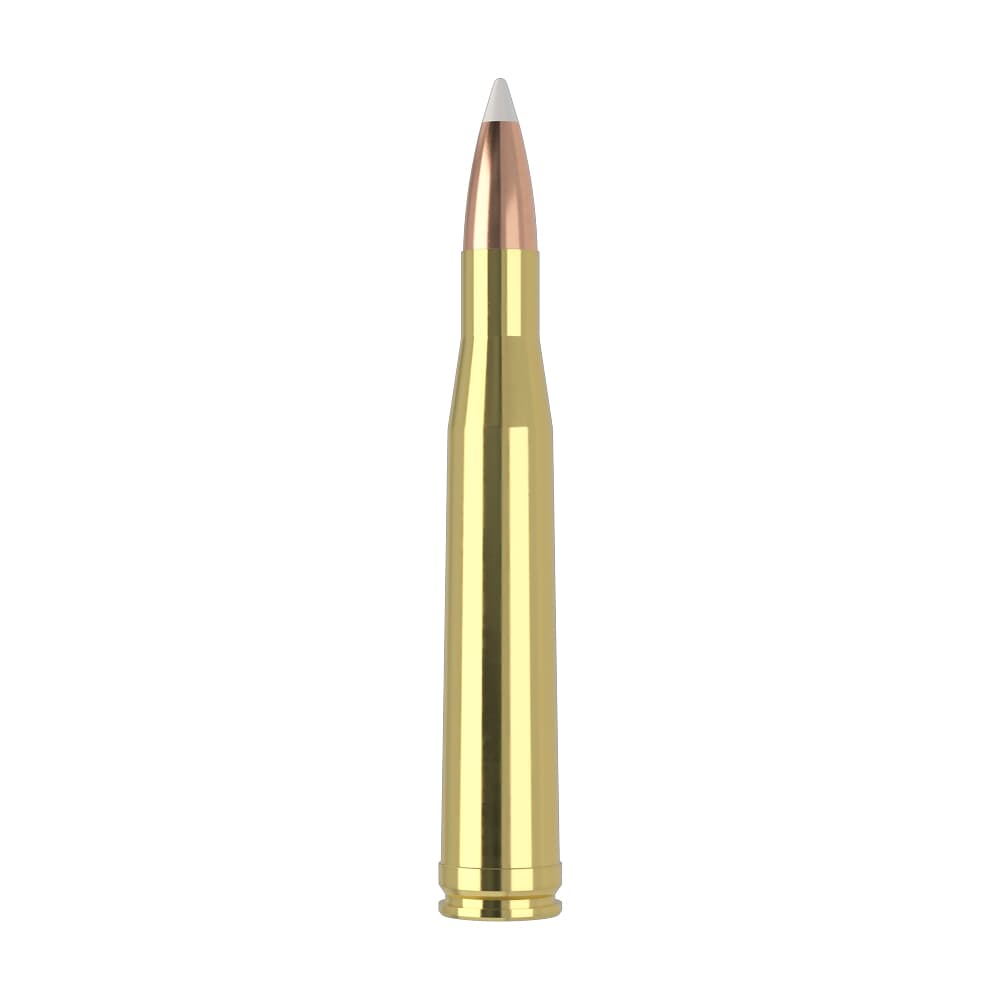 Nosler Trophy Grade TGA-300 H&amp;H 180g AB SP (20ct) Ammunition 60060