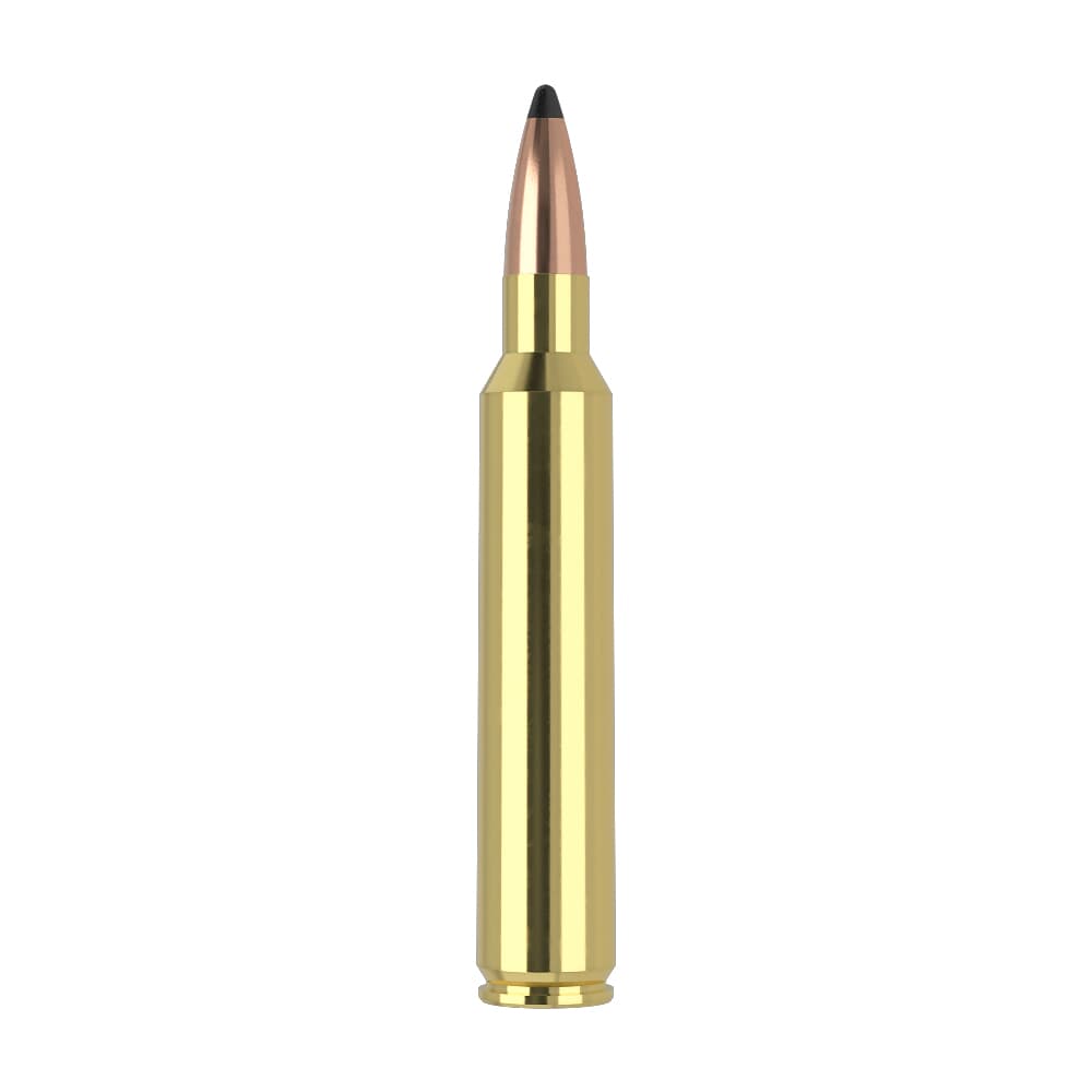 Nosler Trophy Grade TGA-300 RUM 165g PT SP (20ct) Ammunition 60064