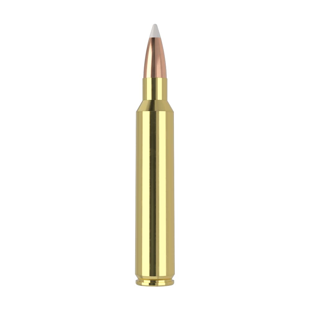 Nosler Trophy Grade TGA-300 RUM 180g AB SP (20ct) Ammunition 60065