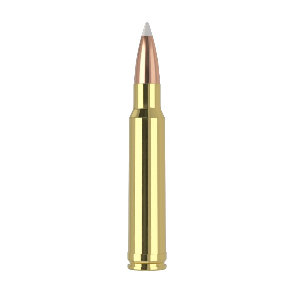 Nosler Trophy Grade TGA-338 Win Mag 225g AB SP (20ct) Ammunition 60074