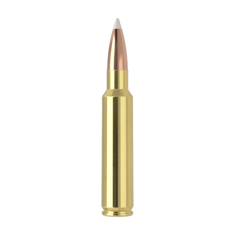 Nosler Trophy Grade TGA-33 Nosler 225g AB SP (20ct) Ammunition 60098