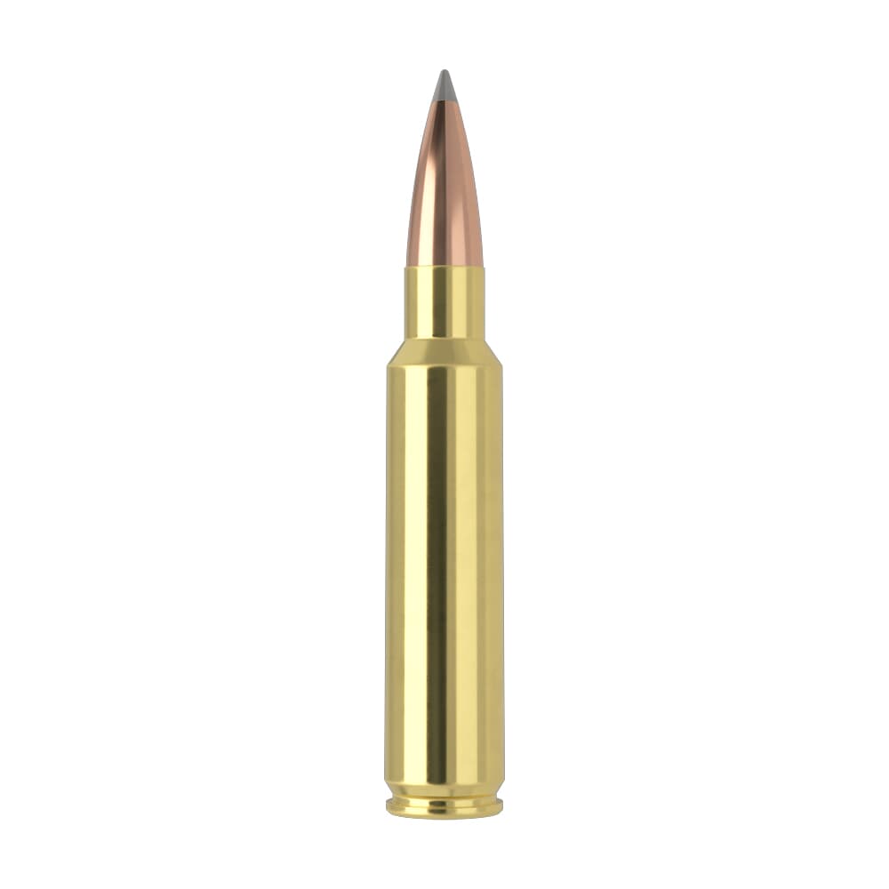 Nosler Trophy Grade (Long Range) TGA-33 Nosler 265g ABLR SP (20ct) Ammunition 60099