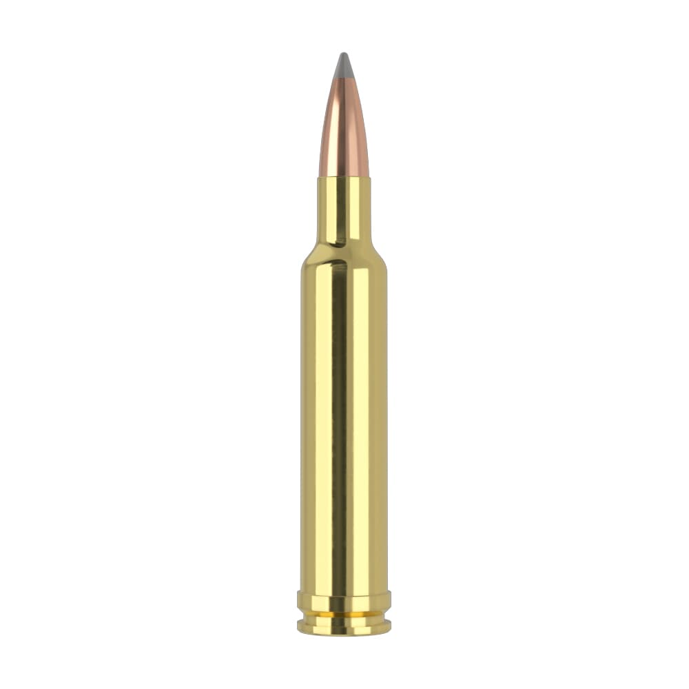 Nosler Trophy Grade (Long Range) TGA-270 Wby Mag 150g ABLR SP (20ct) Ammunition 60150