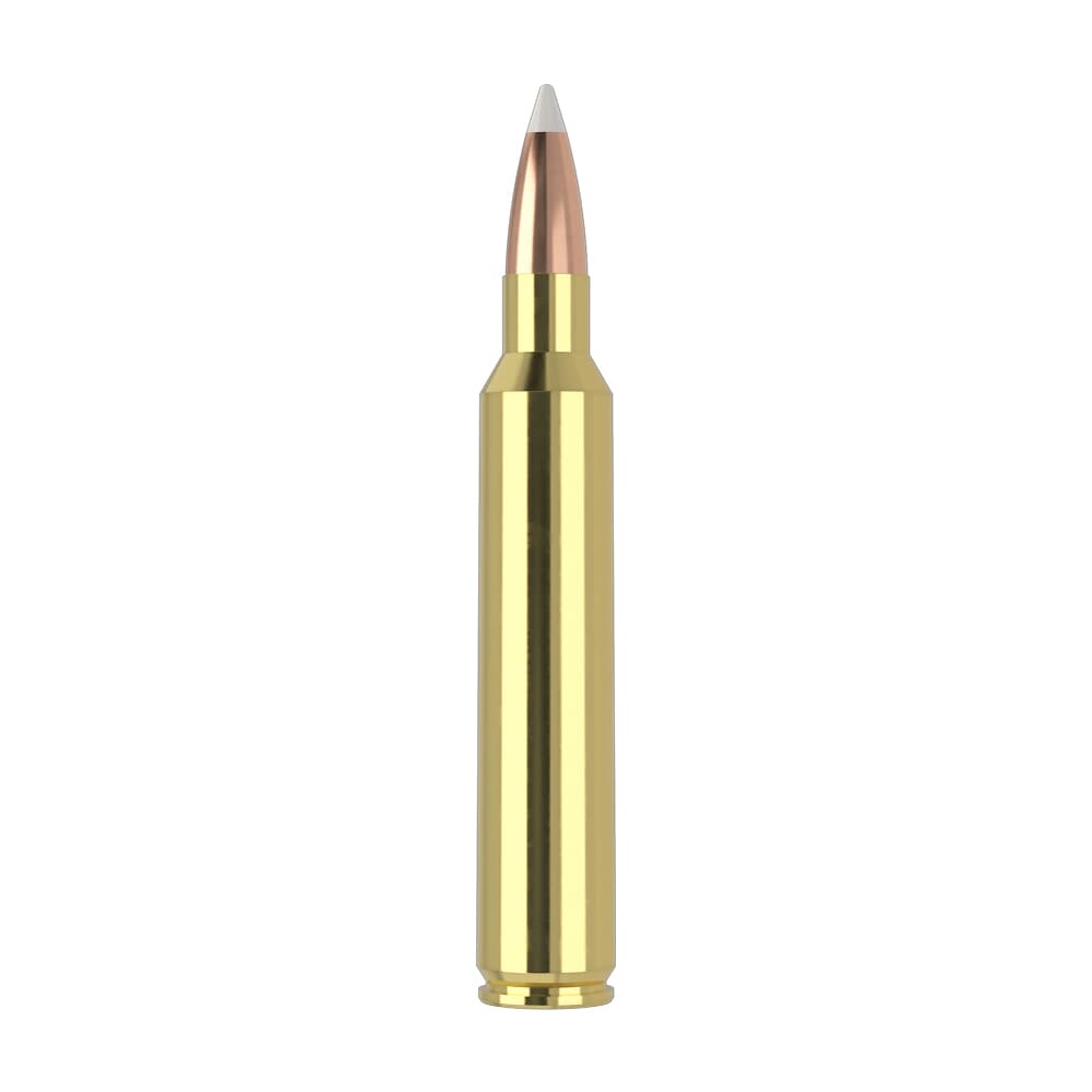 Nosler Trophy Grade TGA-300 RUM 200g AB SP (20ct) Ammunition 60165