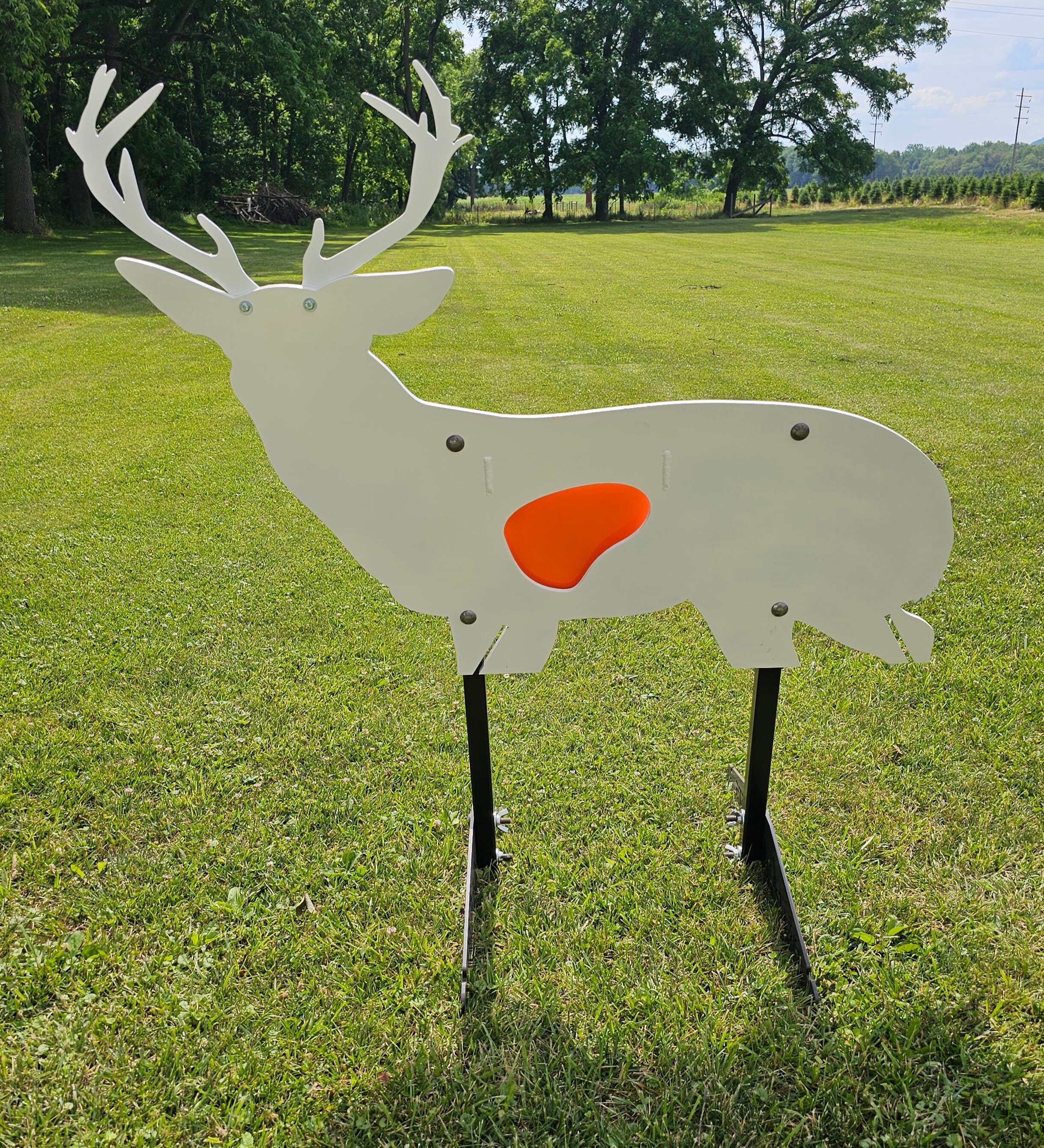 Precision Targets 3/8&quot; Life-Size Whitetail Buck w/Reactive Vitals &amp; Stand 3-8-LSWBRVS