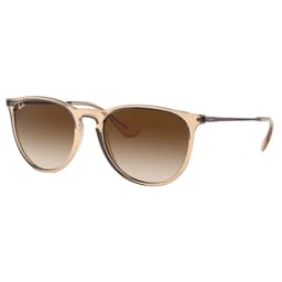 Ray-Ban Erika Color Mix Polished Transparent Brown Sunglasses w/Brown-to-Dark Brown Gradient Lenses 0RB4171-651413-54