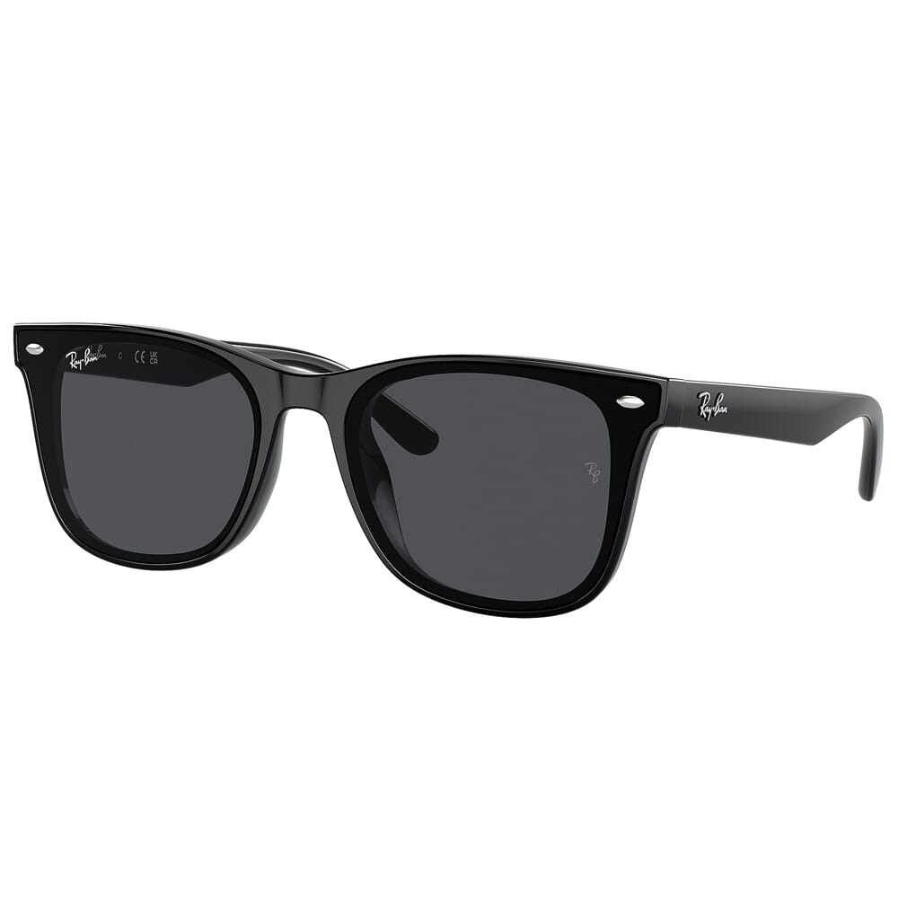 Ray-Ban 0RB4420 Black Sunglasses w/Dark Gray Lenses 0RB4420-601/87-65