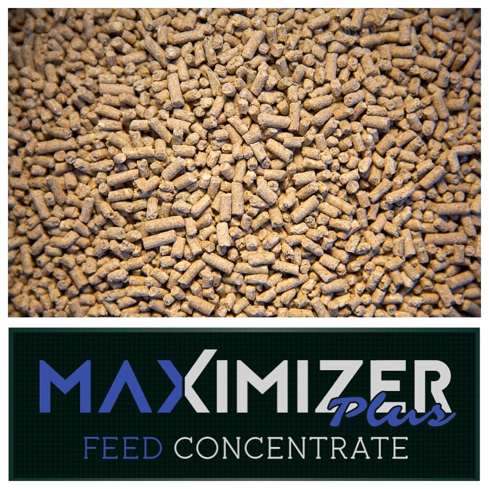 Real World Wildlife Products Maximizer Plus Feed Concentrate 50lb Bag MAXIMIZER-PLUS-FEED-CONCENTRATE-50LB