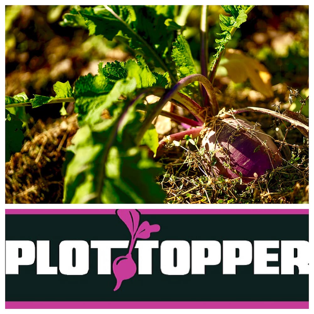 Real World Wildlife Products Plot Topper 4 Acres, 24lb Bag PLOT-TOPPER-24LB