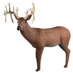 Rinehart 30 Point Buck Archery Target 157