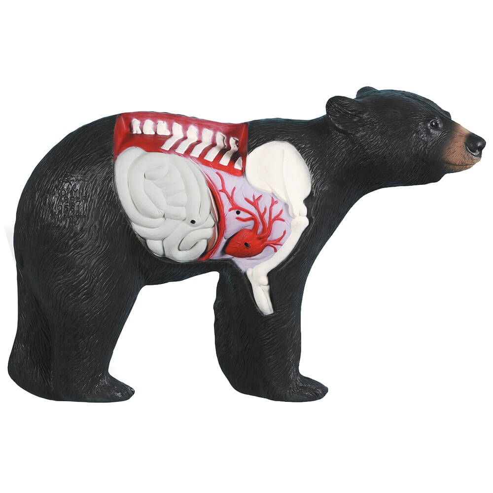 Rinehart Anatomy Bear Archery Target 30511