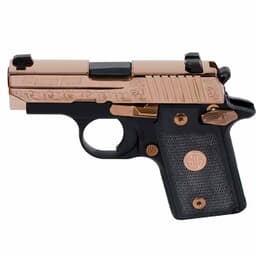 238-380-ERG-SigSauer