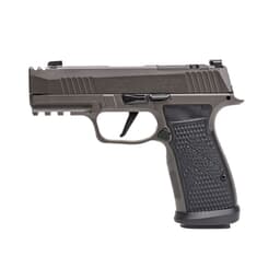 Sig Sauer P365 AXG 9mm 3.1" Bbl Legion Gray Pistol w/(3) 17rd Steel Mags, XRAY3, & ROMEO-X Compact 365AXGCA-9-LEGION-RXX