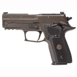 Sig Sauer P229 Legion 9mm 3.9" Bbl Gray SAO Pistol w/(3) 15rd Mags & XRAY3 E29R-9-LEGION-SAO-R2
