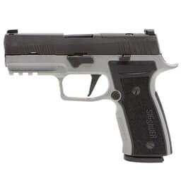 Sig Sauer P320 AXG Carry 9mm 3.9" Bbl Optics Ready Two-Tone Ti Cerakote Pistol w/X-RAY3 & (2) 17rd Steel Mags 320AXGCA-9-RTXR3-R2